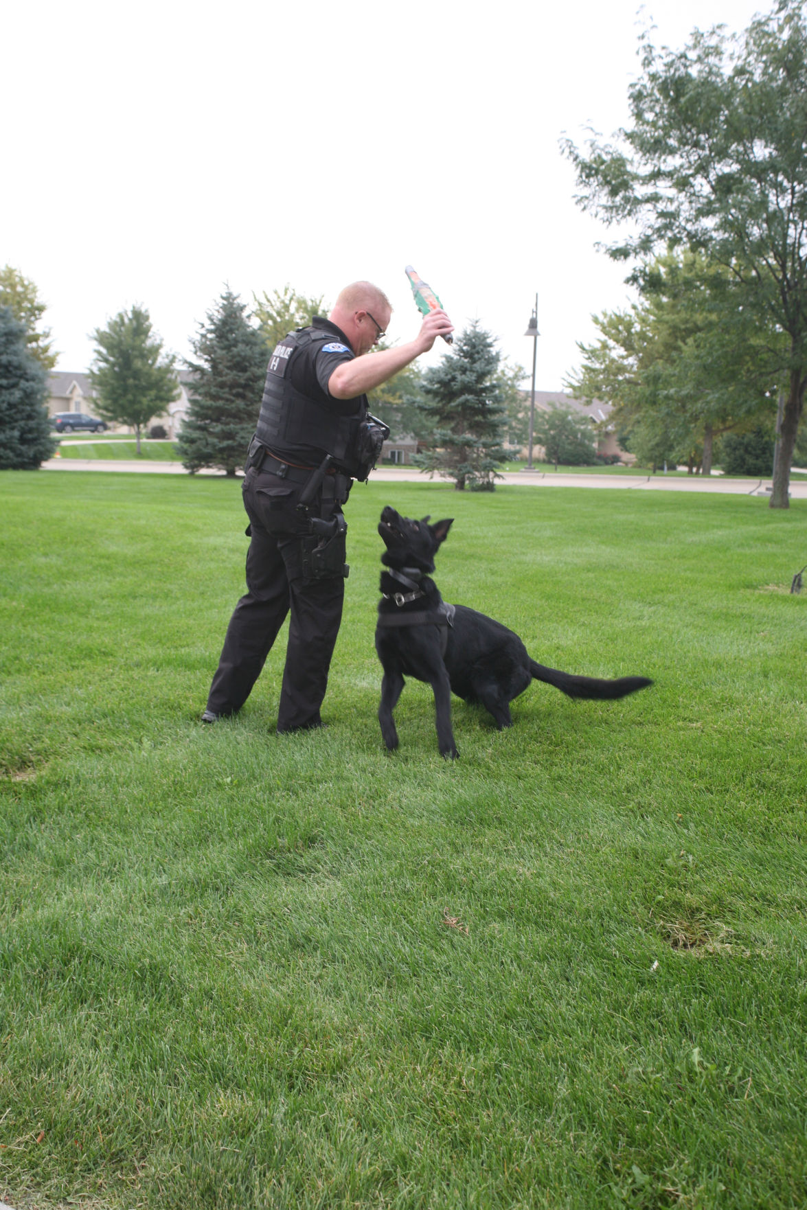 Damn good K9s